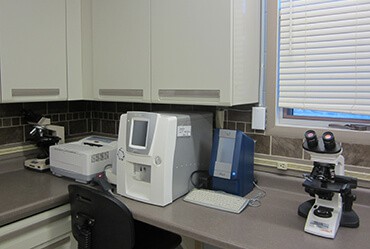 veterinary diagnostics