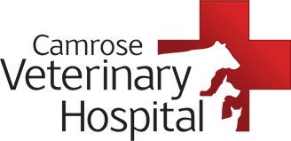 Camrose Animal Hospital