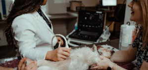 Veterinary Services